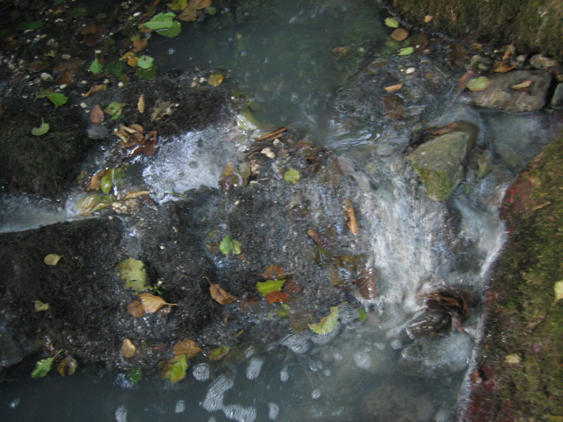 5 - L'odore comincia ad essere forte e l'acqua non sembra più quella di un fiume.JPG